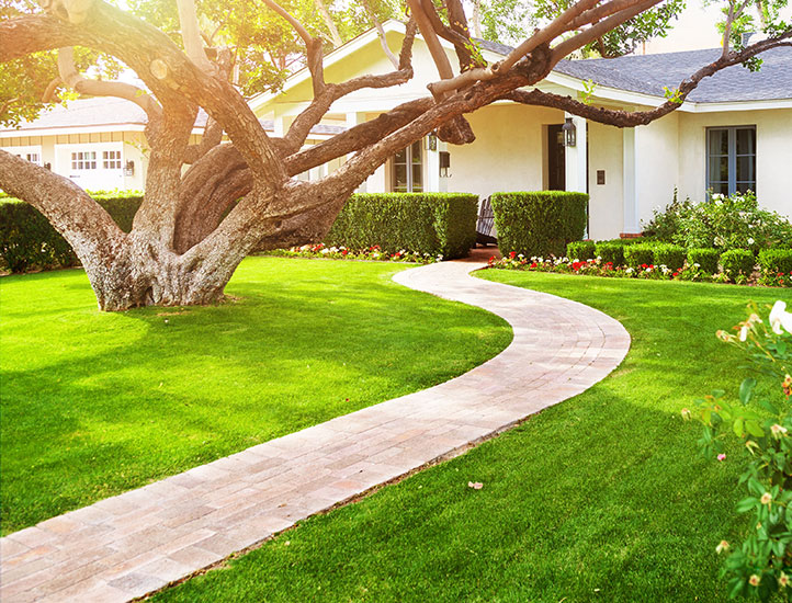 Lawn Care